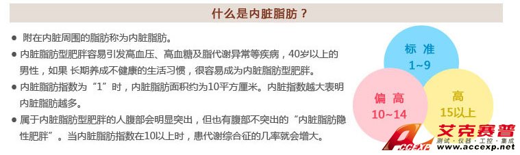 什么是內臟脂肪及內臟脂肪型肥胖