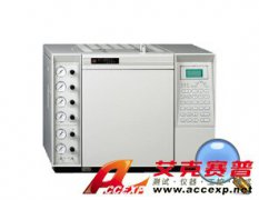 魯南瑞虹 SP-2000B 氣相色譜儀